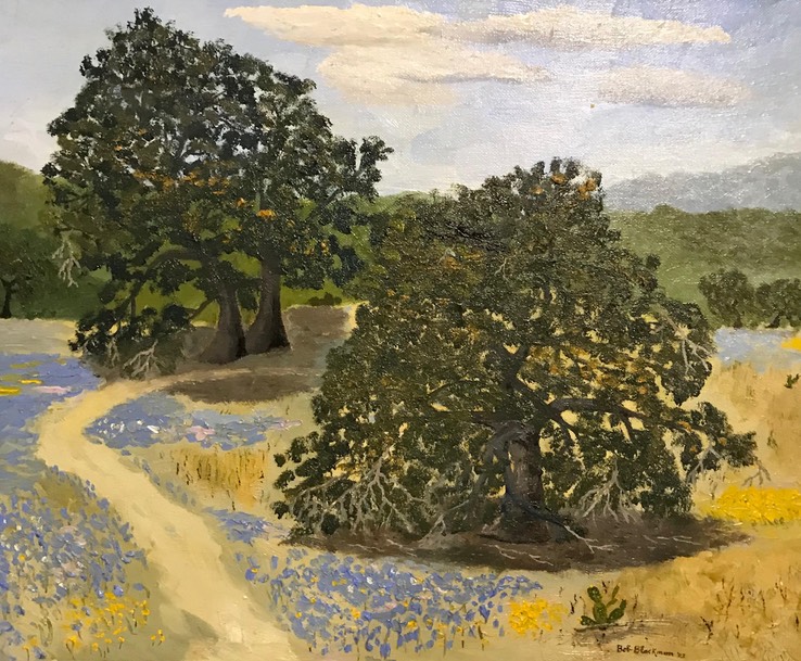 Texas Hill Country